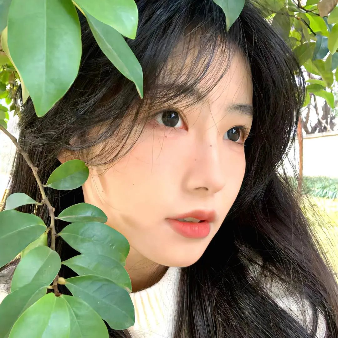 月球探秘